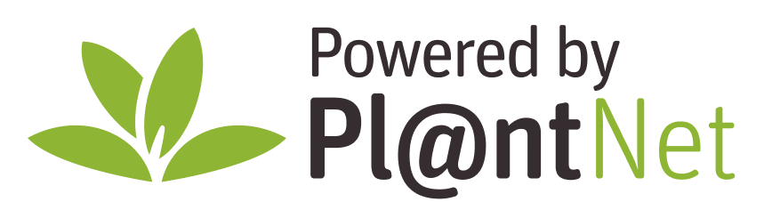 Pl@ntNet