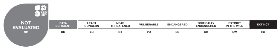 No evaluado (NE)