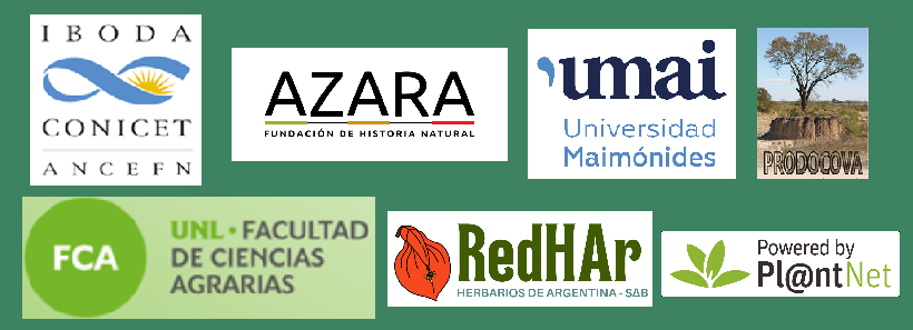 Patrocinadores